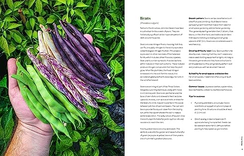 Seed to Table: A Seasonal Guide to Organically Growing, Cooking, and Preserving Food at Home (Urban Gardening, How to Start a Vegetable Garden) by Luay Ghafari