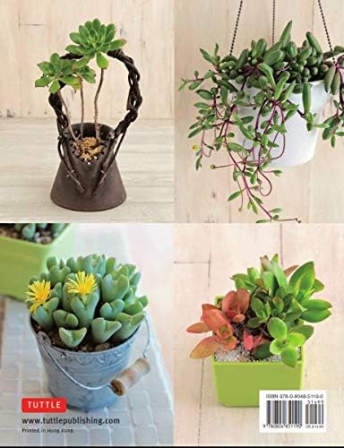 A Beginner's Guide to Succulent Gardening: A Step-by-Step Guide to Growing Beautiful & Long-Lasting Succulents by Taku Furuya