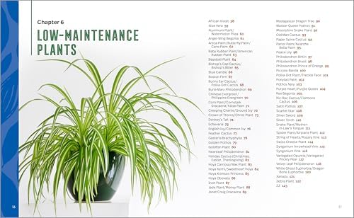 Houseplants for Beginners: A Practical Guide to Choosing, Growing, and Helping Your Plants Thrive by Rebecca De La Paz