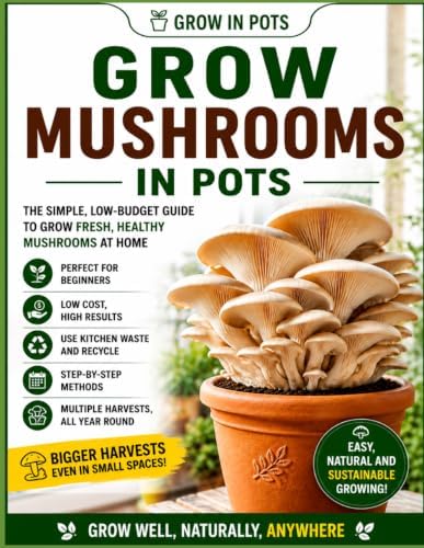 Beginner Mushroom Growing at Home (Low Budget): Easy Indoor Mushroom Gardening for Beginners Using Cheap DIY Methods, Small Spaces & Simple Supplies | Grow in Pots by Roberto Beozzo