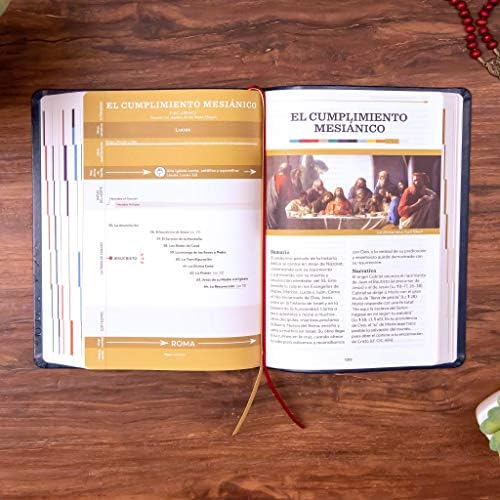 Santa Biblia: The Great Adventure Catholic Bible (Spanish Edition) by Ascension Press