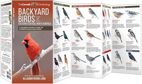 Backyard Birds of Eastern/Central North America: A Folding Pocket Guide to Common Backyard Birds (All About Birds) by The Cornell Lab of Ornithology