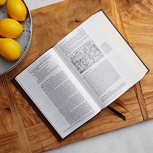 NRSVCE, Illustrated Catholic Bible, Leathersoft, Black, Comfort Print: Holy Bible by Catholic Bible Press