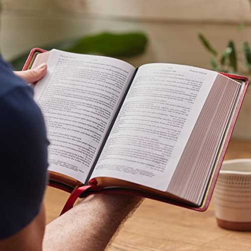 KJV Holy Bible: Large Print Single-Column with 43,000 End-of-Verse Cross References, Red Goatskin Leather, Premier Collection, Personal Size, Red Letter: King James Version by Thomas Nelson