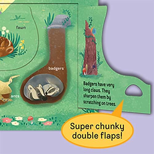 Who: Peek-a-Flap Board Book by Jaye Garnett