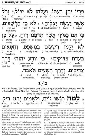 Interlinear Tehillim Spanish - - The Wengrowsky Edition by Rabbi Menachem Davis