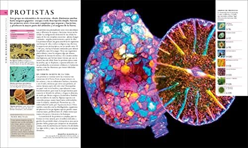 El libro de la naturaleza (Natural History): Enciclopedia del mundo natural en imagenes (DK Definitive Visual Encyclopedias) (Spanish Edition) by DK