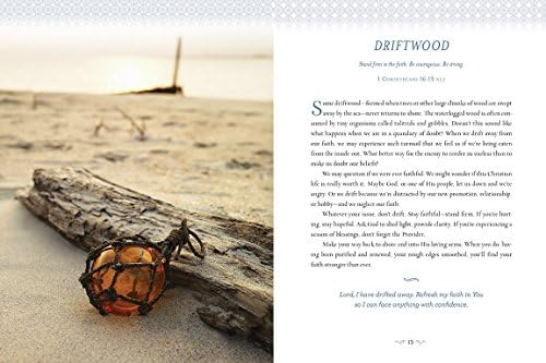Devotions from the Beach: Experiencing God’s Calming Peace on Sandy Shores (A 100-Day Devotional) by Thomas Nelson