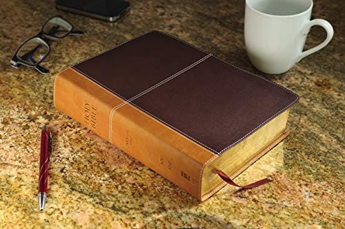 KJV, Amplified, Parallel Bible, Large Print, Leathersoft, Tan/Burgundy, Red Letter: Two Bible Versions Together for Study and Comparison by Zondervan