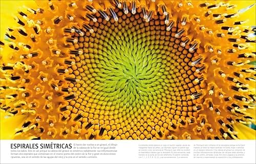 El Libro de las flores y los árboles (Our World in Pictures: Trees, Leaves, Flowers & Seeds) (Spanish Edition) by DK