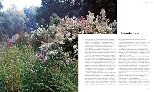 Dream Plants for the Natural Garden by Piet Oudolf