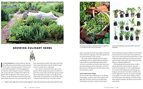 A Woman's Garden: Grow Beautiful Plants and Make Useful Things - Plants and Projects for Home, Health, Beauty, Healing, and More by Tanya Anderson