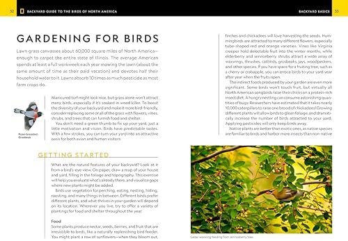 National Geographic Backyard Guide to the Birds of North America, 2nd Edition by Jonathan Alderfer