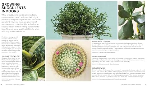 Succulents: Everything You Need to Select, Pair and Care for Succulents (Green Thumb Guides) by Cassidy Tuttle