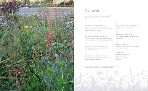 Tiny and Wild: Build a Small-Scale Meadow Anywhere by Graham Laird Gardner