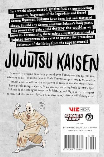 Jujutsu Kaisen, Vol. 25 by Gege Akutami