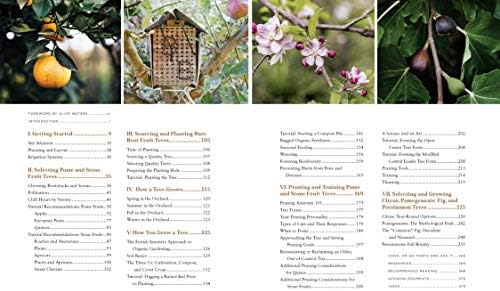 Fruit Trees for Every Garden: An Organic Approach to Growing Apples, Pears, Peaches, Plums, Citrus, and More by Orin Martin