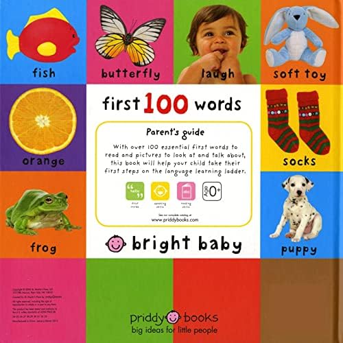 First 100 Words (Bright Baby) by Roger Priddy