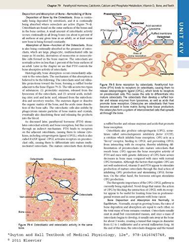 Guyton and Hall Textbook of Medical Physiology, 12e by John E. Hall