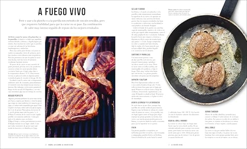 Carne (The Meat Cookbook) (Spanish Edition) by Nichola Fletcher