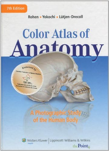 Color Atlas of Anatomy: A Photographic Study of the Human Body by Johannes W. Rohen