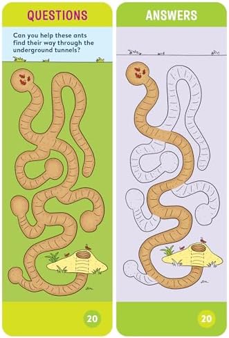 Brain Quest Pre-Kindergarten Smart Cards Revised 5th Edition (Brain Quest Smart Cards) by Workman Publishing