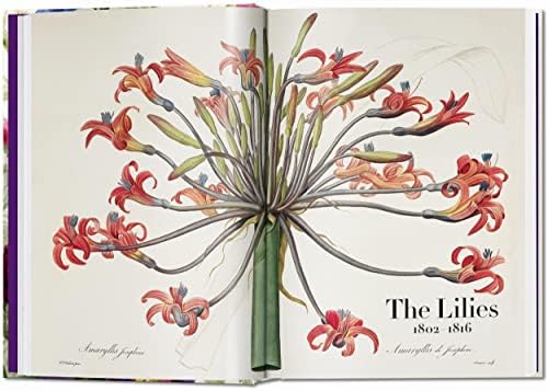 Redouté. Book of Flowers – 40 Years by H. Walter Lack