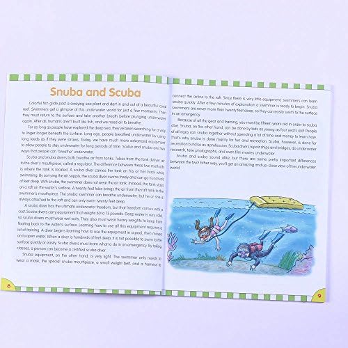 Reading Comprehension: Grade 6 (Flash Skills) by Flash Kids Editors