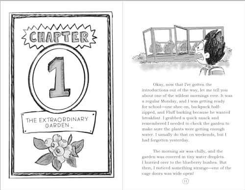 Purple Space Chickens (Purple Space Chickens: Dyslexia-Friendly Chapter Books for Kids Ages 6-10) by Diane Alber