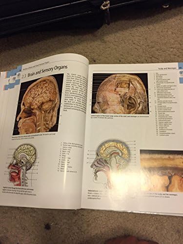 Color Atlas of Anatomy: A Photographic Study of the Human Body by Johannes W. Rohen