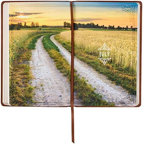 Walking with God 365 Daily Devotions, Large Print Brown Faux Leather by David Jeremiah