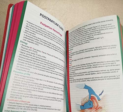 Comprehensive Handbook Obstetrics and Gynecology: 3rd Edition by Thomas Zheng
