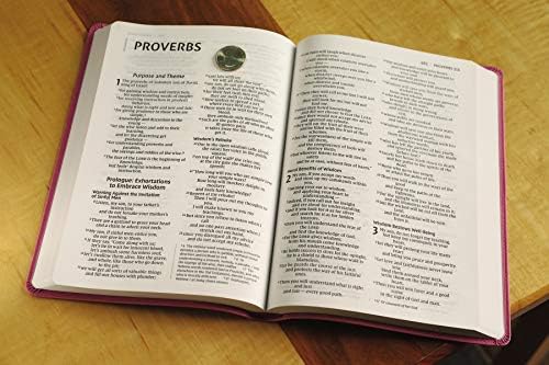 NIV, Value Thinline Bible, Large Print, Leathersoft, Pink, Comfort Print by Zondervan