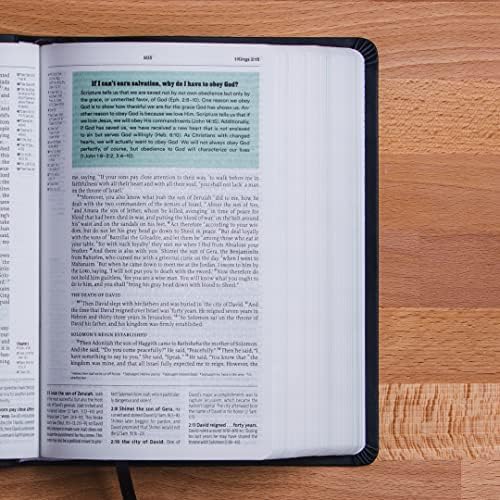 ESV Reformation Study Bible, Student Edition - Gray, Paperback by R.C. Sproul