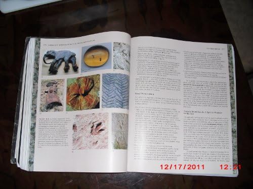 Essentials of Geology by Stephen Marshak