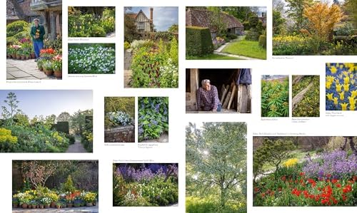 Beauty & Abundance: British Cottage Gardens by Clare Foggett