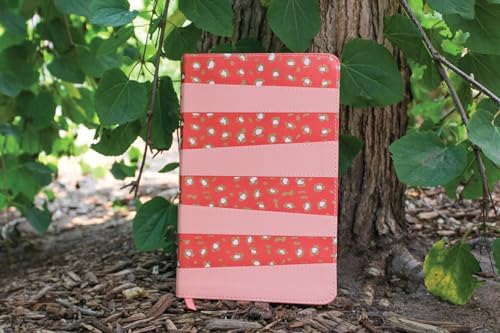 NIV, Adventure Bible, Leathersoft, Coral, Full Color by Zondervan