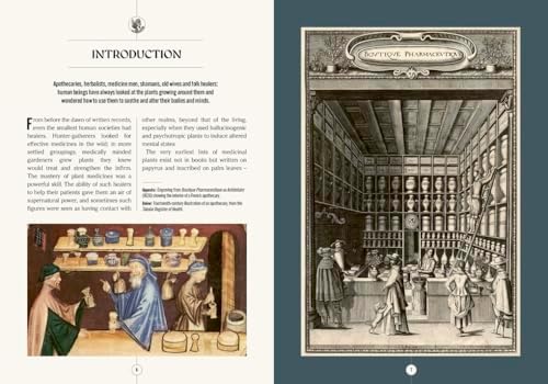 The Apothecary's Garden: The science and mythology of medicinal plants (Royal Botanic Gardens, Kew) by Royal Botanic Gardens Kew