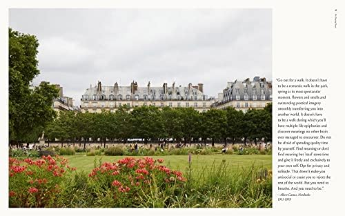 Joie: A Parisian's Guide to Celebrating the Good Life by Ajiri Aki