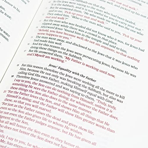 LSB Holy Bible, Large Print, Black Imitation Leather: Legacy Standard Bible in a Single-Column, Wide-Margin, Lay-Flat, Red Letter Format with 2 Ribbon Markers, 40 GSM Paper & Gold Gilded Page Edges by Steadfast Bibles