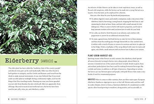 Backyard Pharmacy: Plants as Medicine - Plant, Grow, Harvest, and Heal by Elizabeth Millard