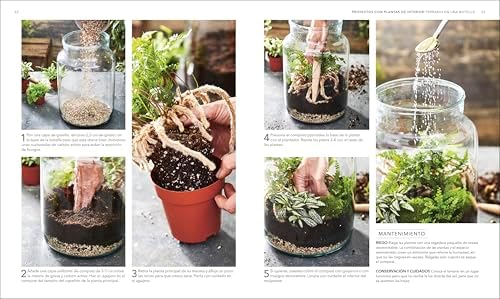 Plantas de interior (Houseplant) (Spanish Edition) by DK