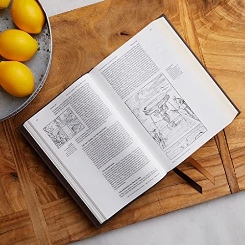 NRSVCE, Illustrated Catholic Bible, Leathersoft, Black, Comfort Print: Holy Bible by Catholic Bible Press