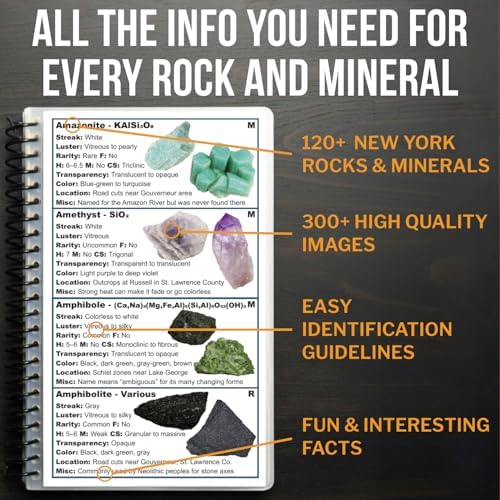 New York Rocks and Minerals Identification Field Guide | Waterproof | Find & Identify Rocks, Minerals, Crystals, and Gems | For Beginners, Kids, and Experienced Rockhounds | Rock Chasing by Rock Chasing