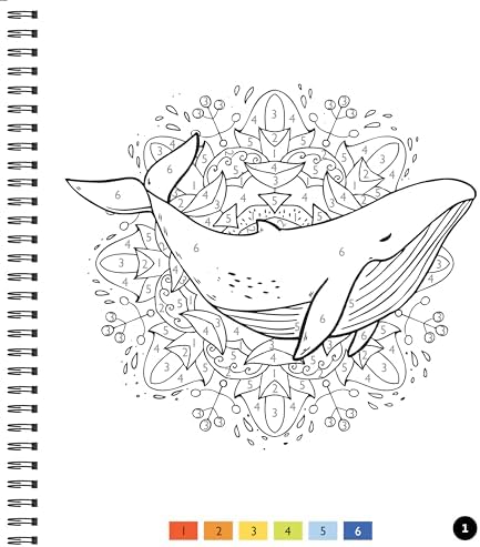 Brain Games - Color by Number - Large Print: Ocean by Publications International Ltd.