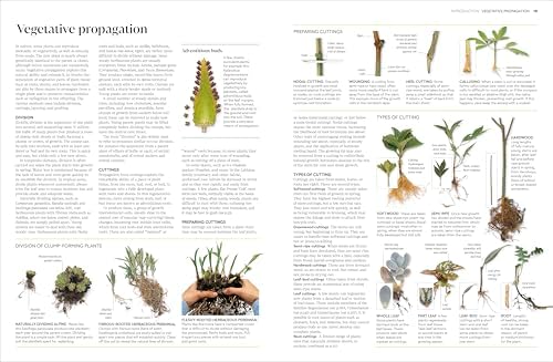 Propagating Plants: How to Grow Plants for Free by DK