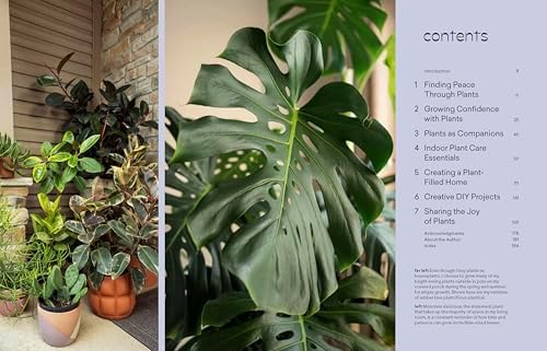 More Than Just a Plant: How to Care for Your Plants as They Care for You by Krystal Duran