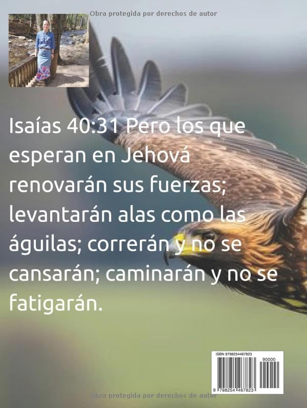 Lo que la Biblia dice acerca de... (Volumen 2): 28 breves estudios bíblicos (Spanish Edition) by Adaweliga Detsadi