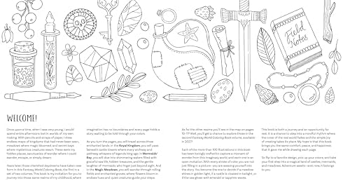 Fantasy World Coloring Book MAGIC MEADOWS - ROYAL KINGDOM - MERMAIDS’ BAY: A Creative Voyage with 100 Full-Sized Patterns to Color and Enjoy by Emelie Lidehäll Öberg