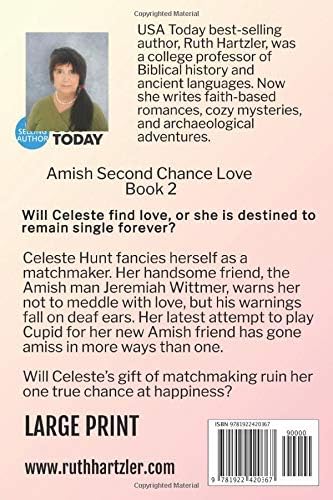 Match Made in Heaven LARGE PRINT: Amish Romance (Amish Second Chance Romance) by Ruth Hartzler